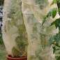 Preview: Bio Tomaten Reifevlies, Schlauchware "planto pro"